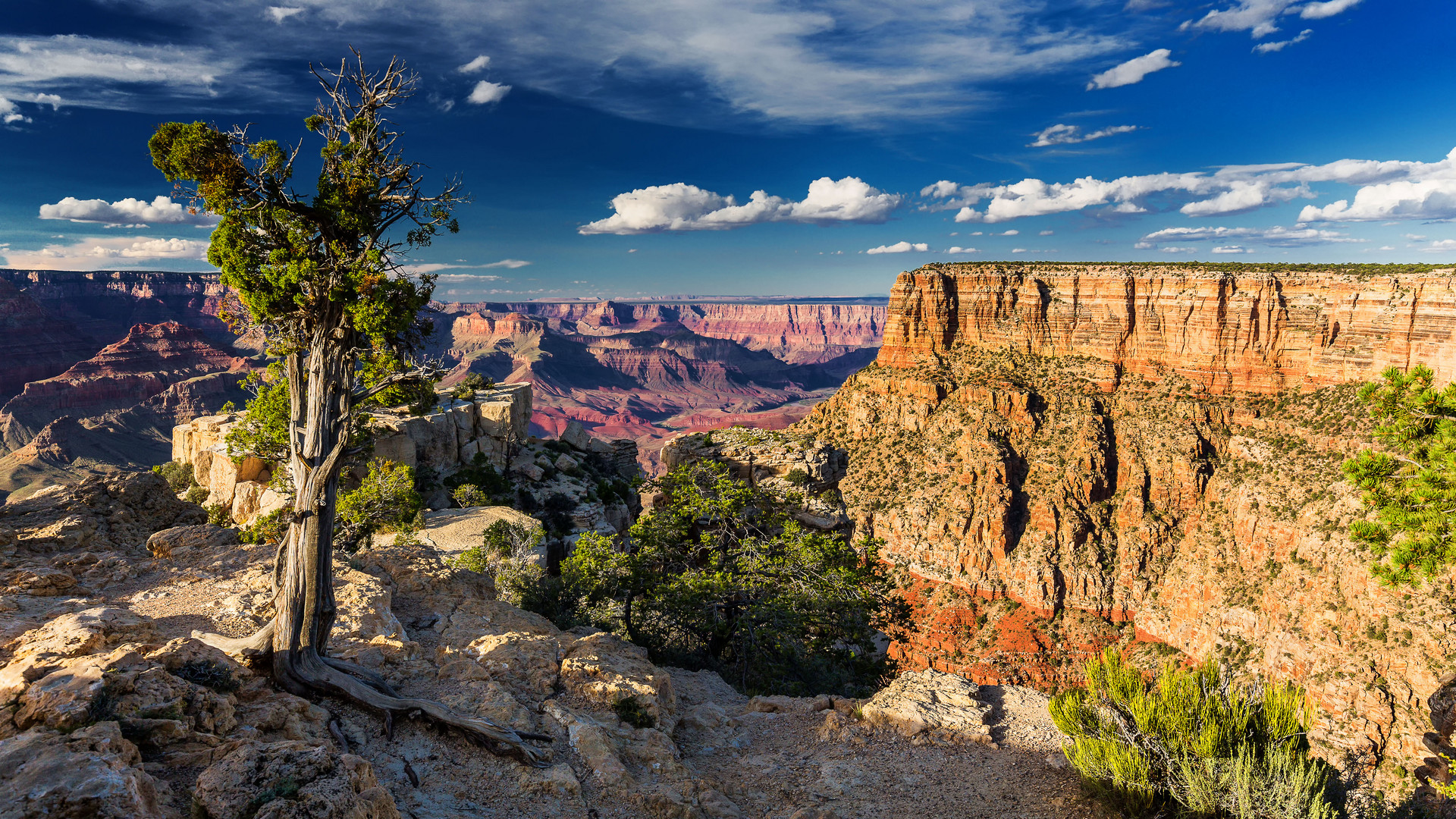 South Rim