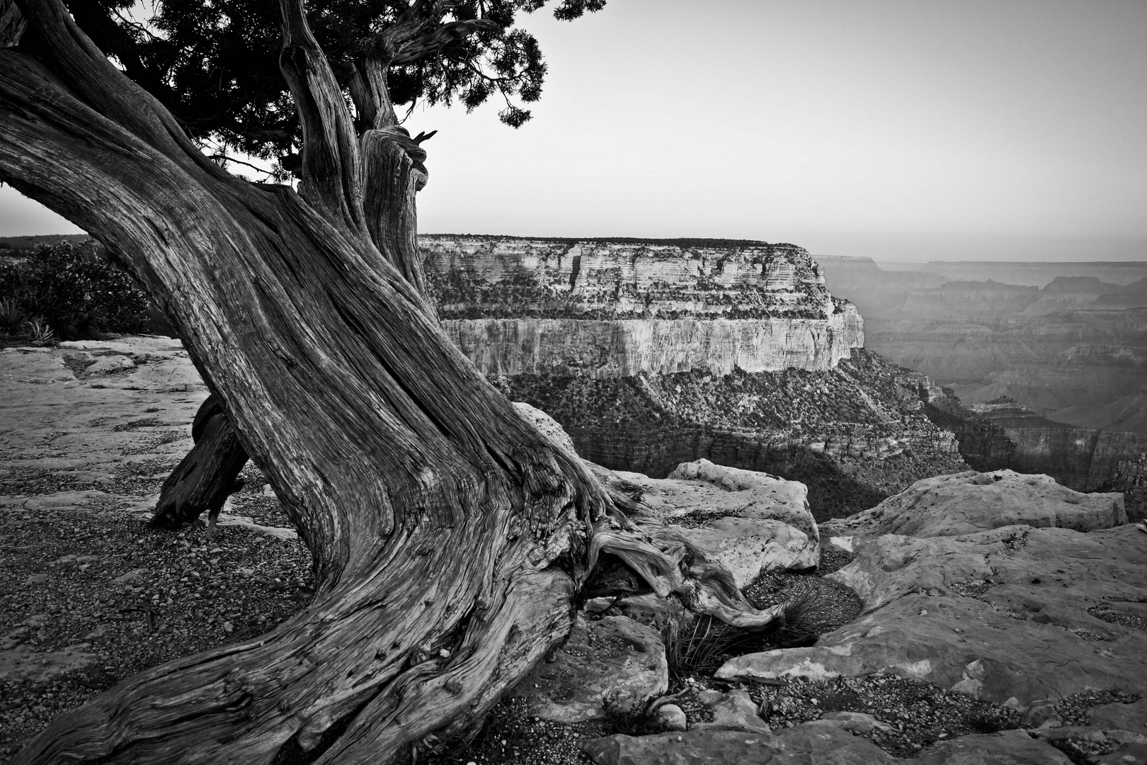 south rim