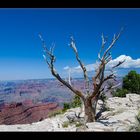 South Rim, Grand Canyon, AZ