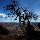 South Rim View