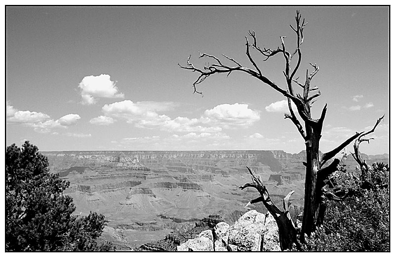 South Rim View im Grand Canyon N.P. - Arizona, USA