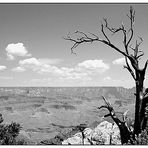 South Rim View im Grand Canyon N.P. - Arizona, USA