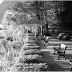 South River Overlook, Autumn - Quiet Waters Park