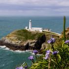 South Stack Lighthouse, im Norden von Wales