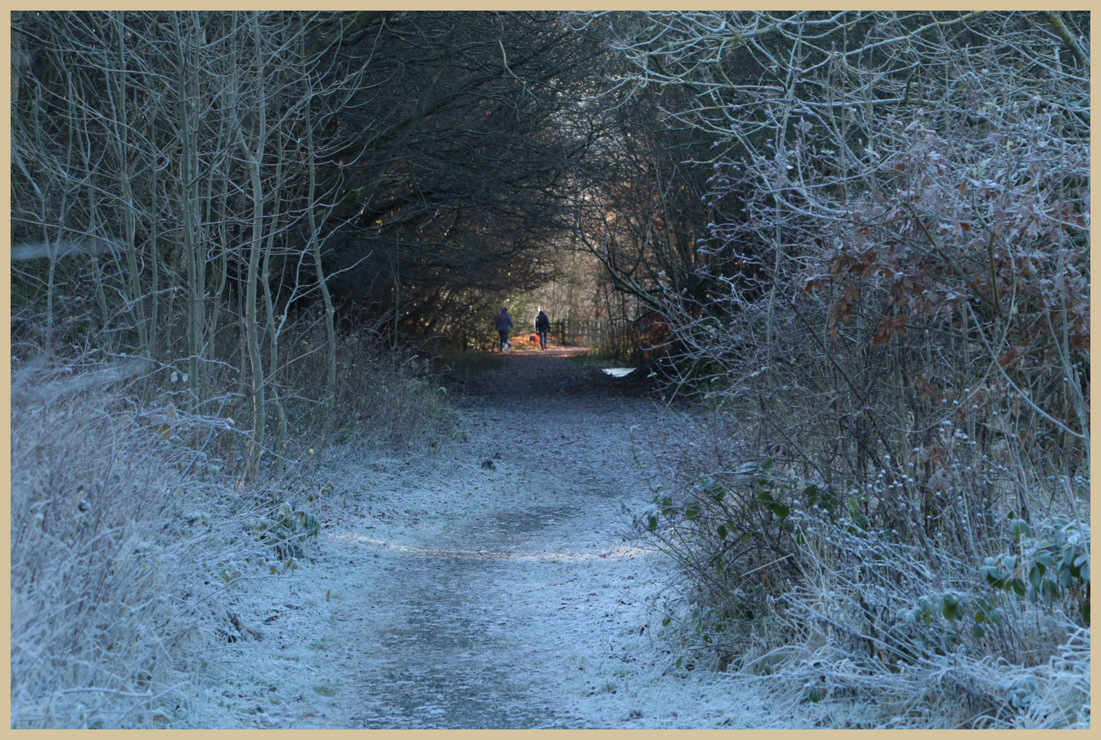 South Tyne Way in winter