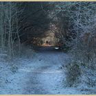 South Tyne Way in winter