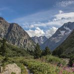 South view in Vallon Des Etançon.