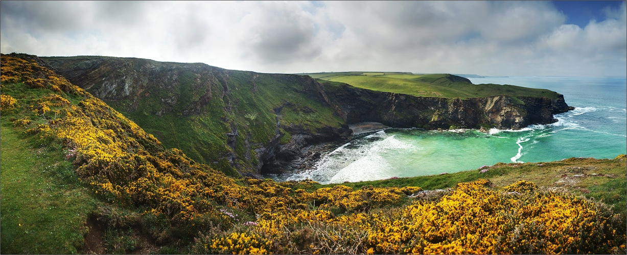 South West Coast Path VII