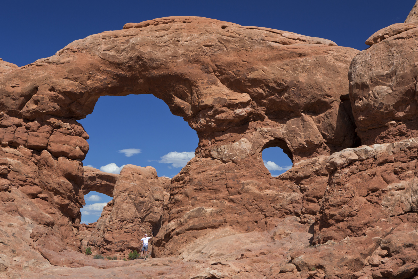 South window Arch