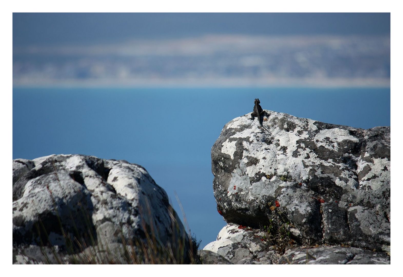 [southafrica] ... mountain with a view II