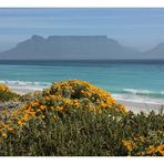 [southafrica] ... table mountain