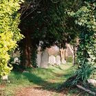 Southampton - Alter Friedhof 1