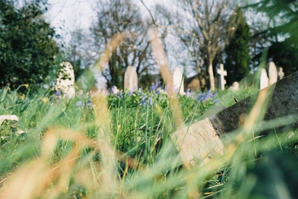 Southampton - Alter Friedhof 3