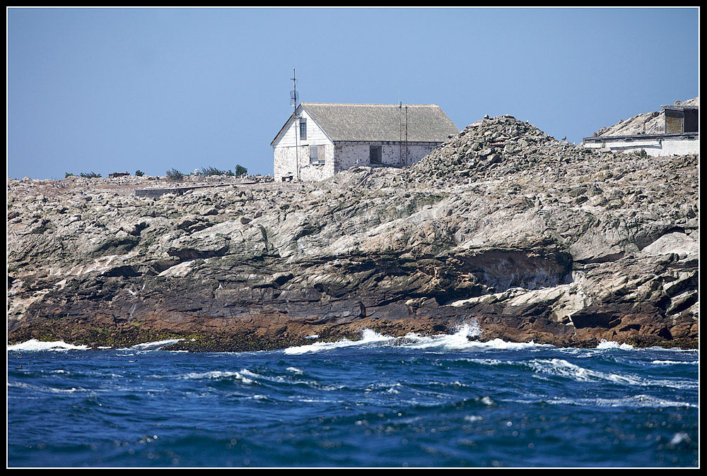 Southeast Farallon Islands