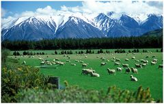 Southern Alps