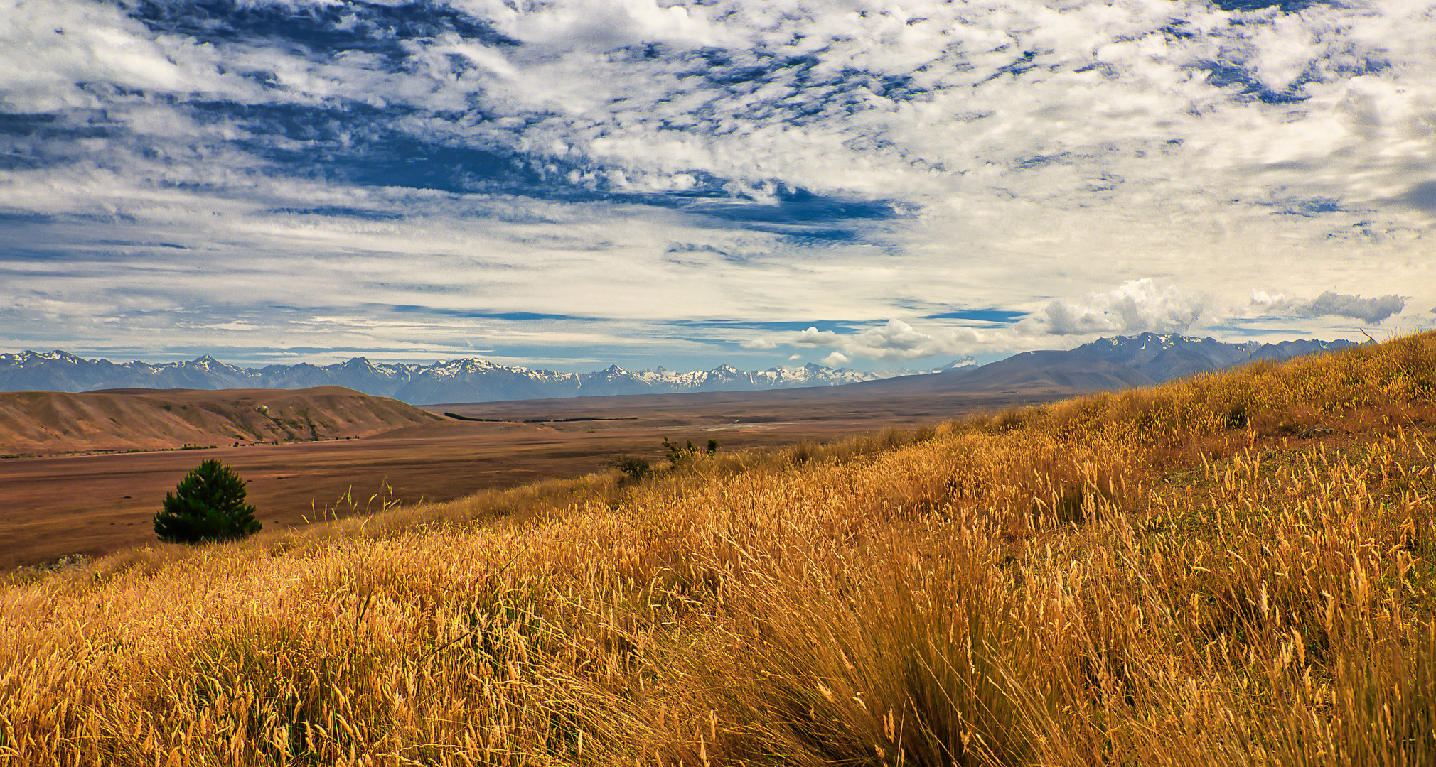 Southern Alps