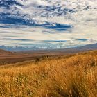 Southern Alps