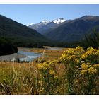 Southern Alps, Neuseeland