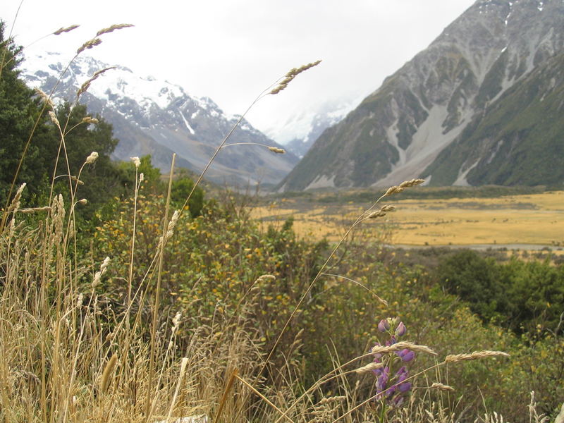 Southern Alps, South Island