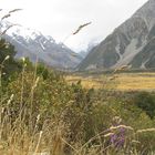 Southern Alps, South Island