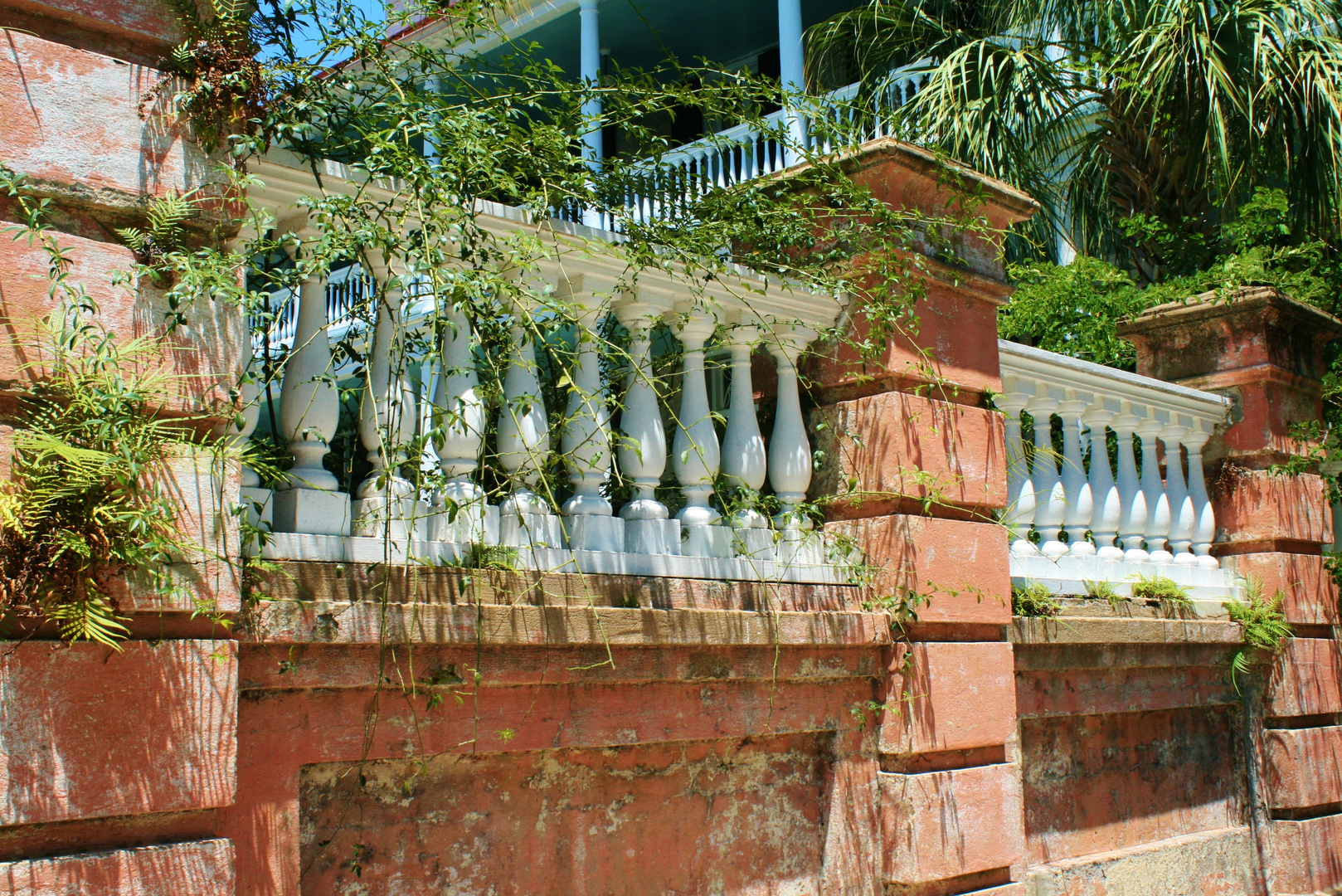 Southern Beauty, Charleston, South Carolina