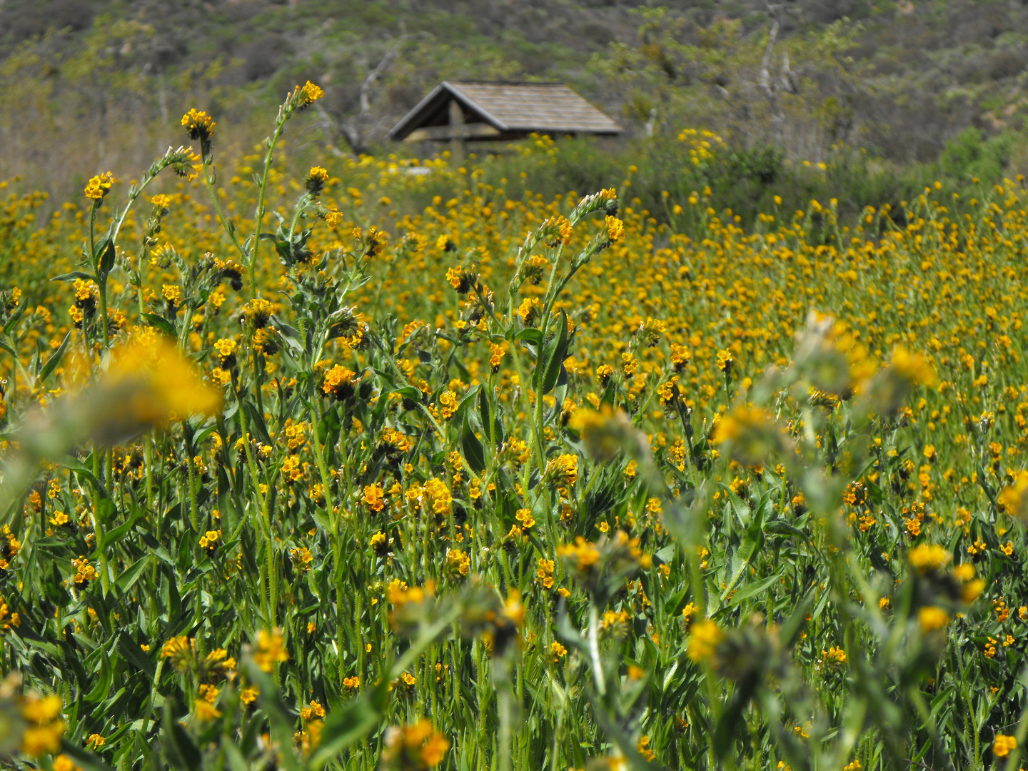 Southern California