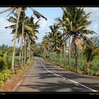 Southern Coastal Road I , Mauritius/ MU