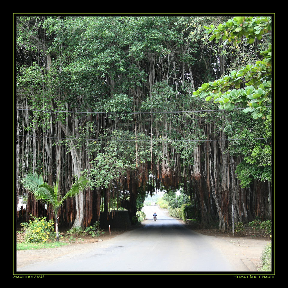 Southern Coastal Road II, Mauritius / MU