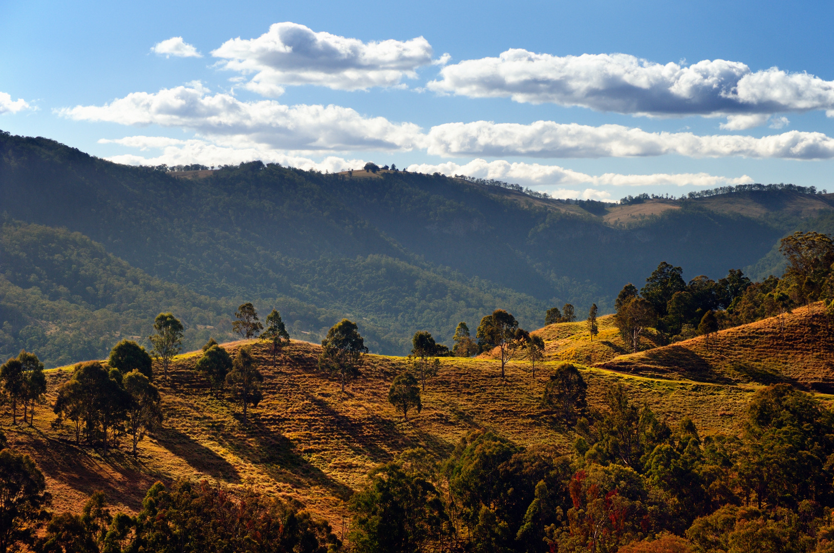 Southern Downs