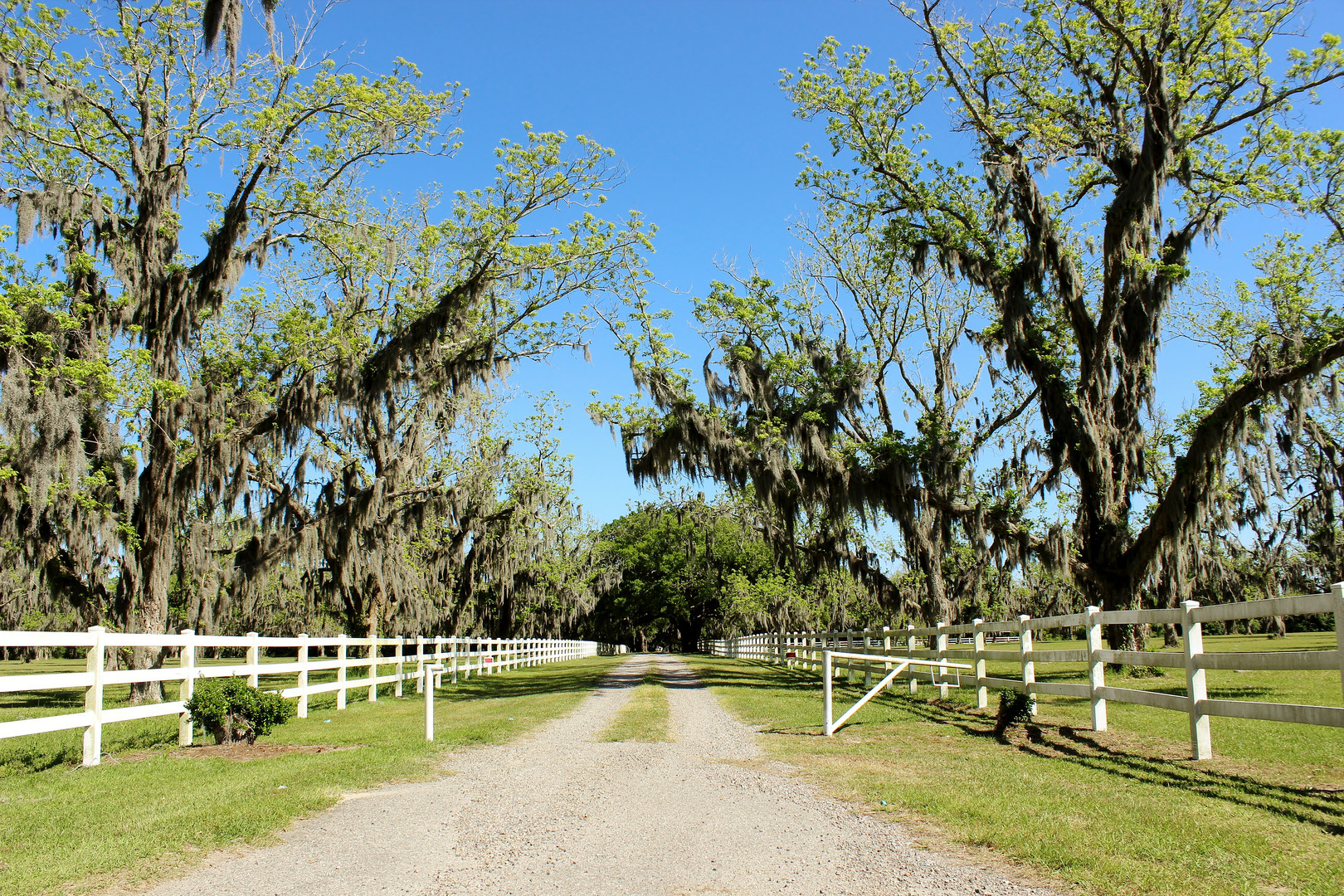 Southern Living