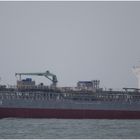 SOUTHERN ZEBRA / Chemical Tanker / Rotterdam