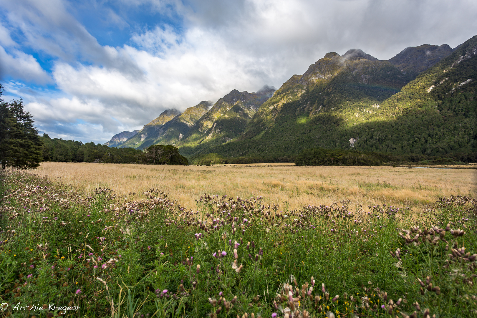 Southland Mountains #1