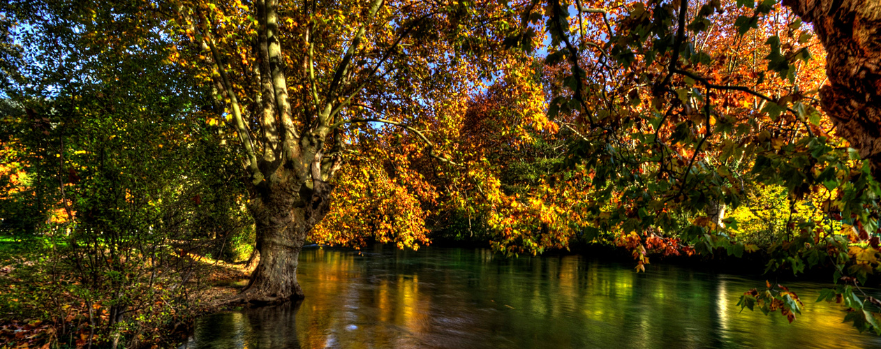 SOUVENIR D'AUTOMNE