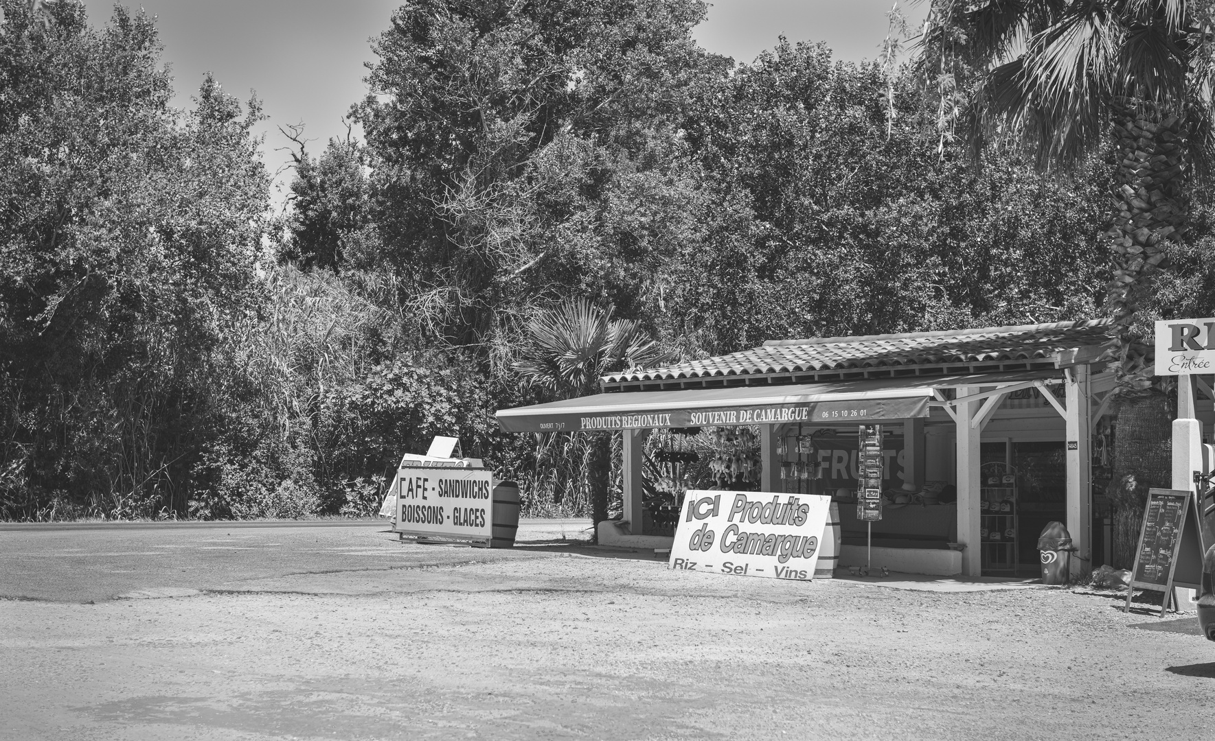 Souvenir de Camargue