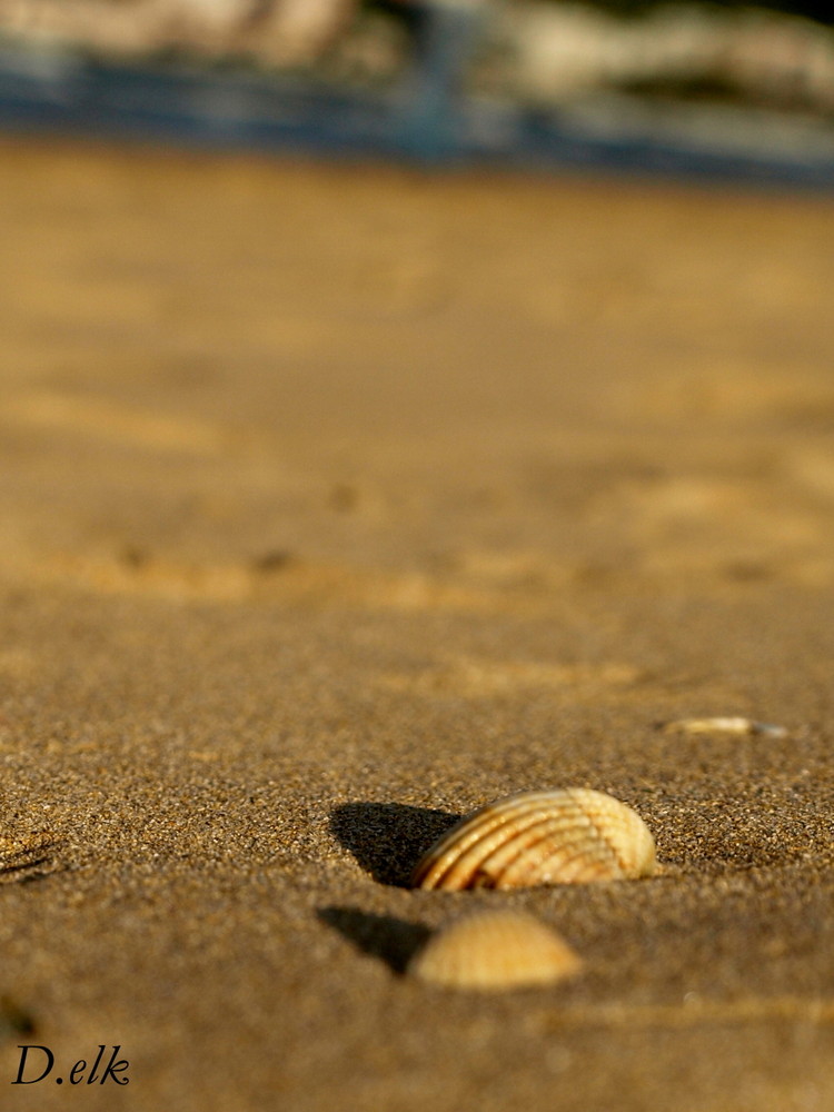 Souvenir de playa