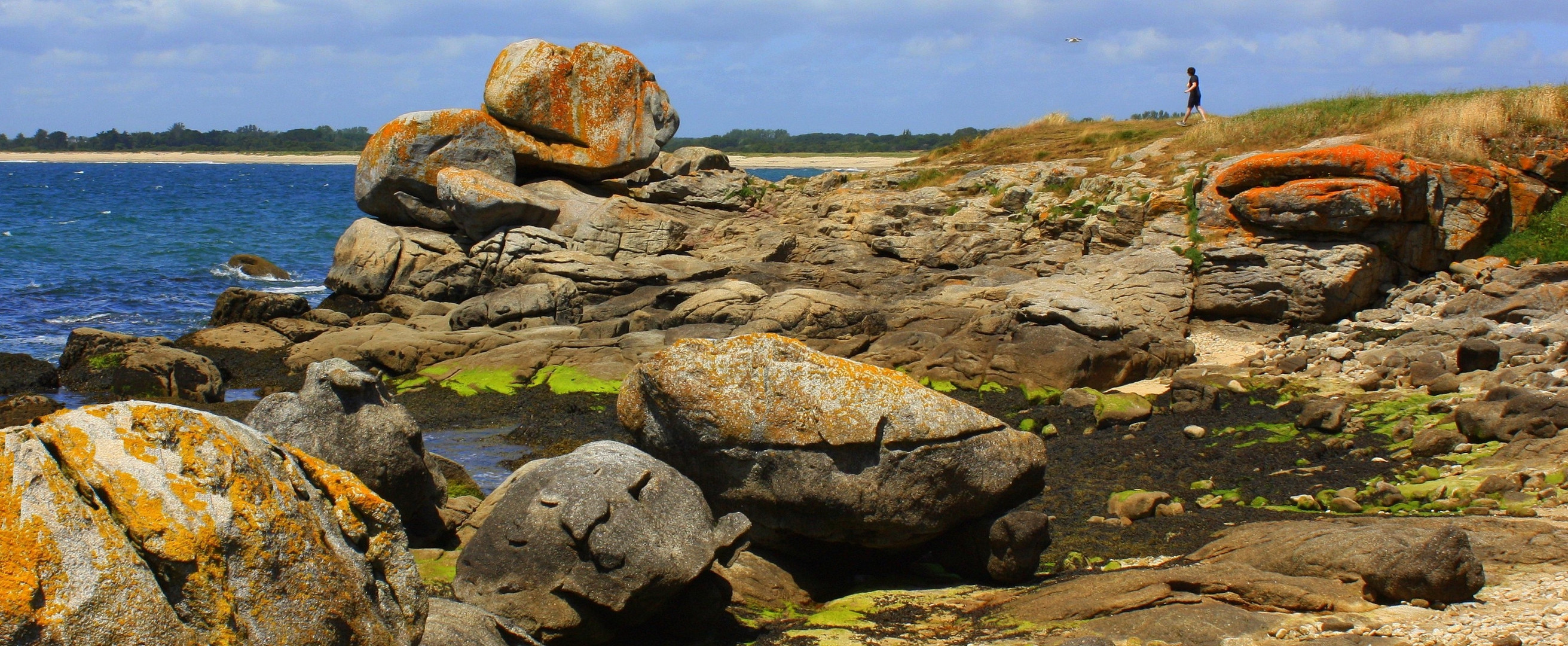 Souvenir de vacances / Bretagne