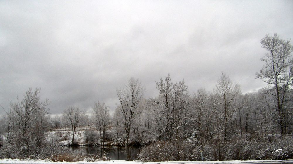 Souvenir du Québec