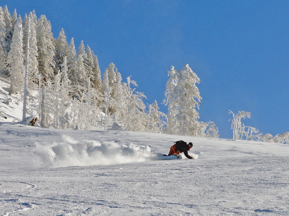 SOUVENIRS D'HIVER