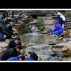 Sovereign Hill, Ballarat 13