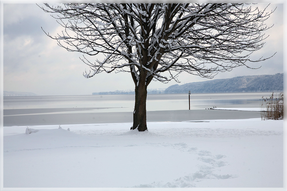 Soviel Schnee am See!