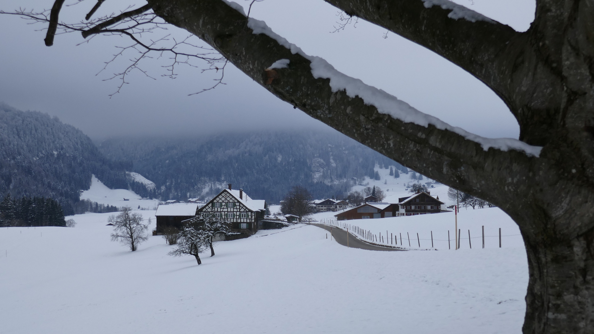 Sowas von trüb - und trotzdem schee zum Wandern in dieser klaren Luft!  !   