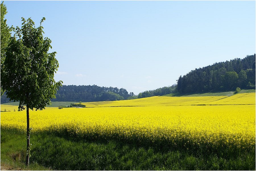 Soweit das Auge reicht, blau, gelb, grün...