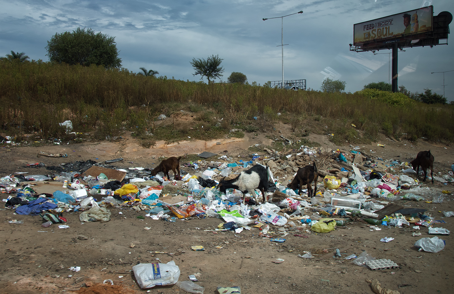 Soweto Safari