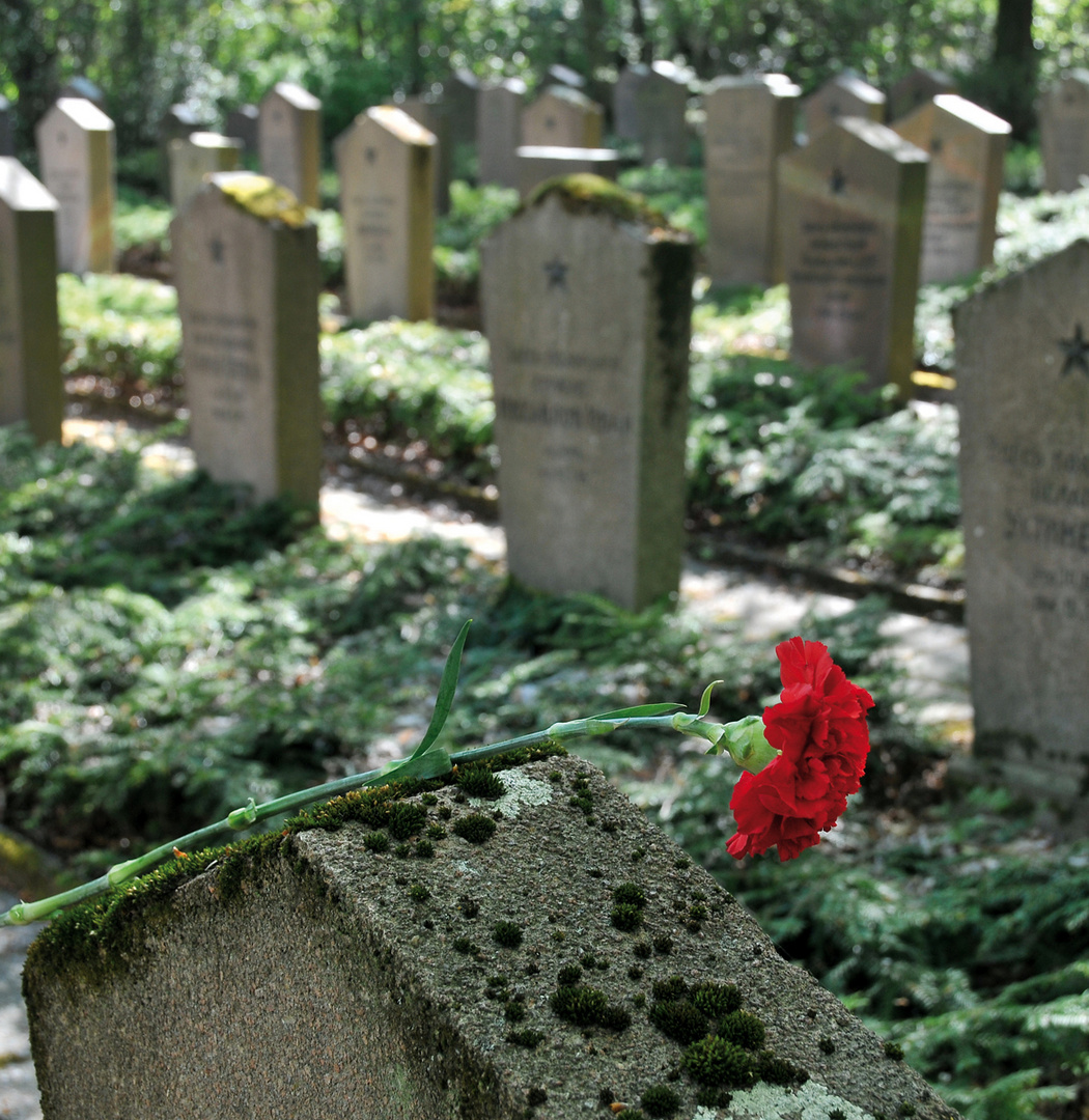 Sowjetischer Ehrenfriedhof in Chemnitz