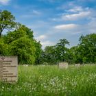 Sowjetischer Friedhof im Schlosspark Belvedere 02