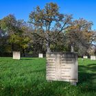 Sowjetischer Friedhof im Schlosspark Belvedere 08