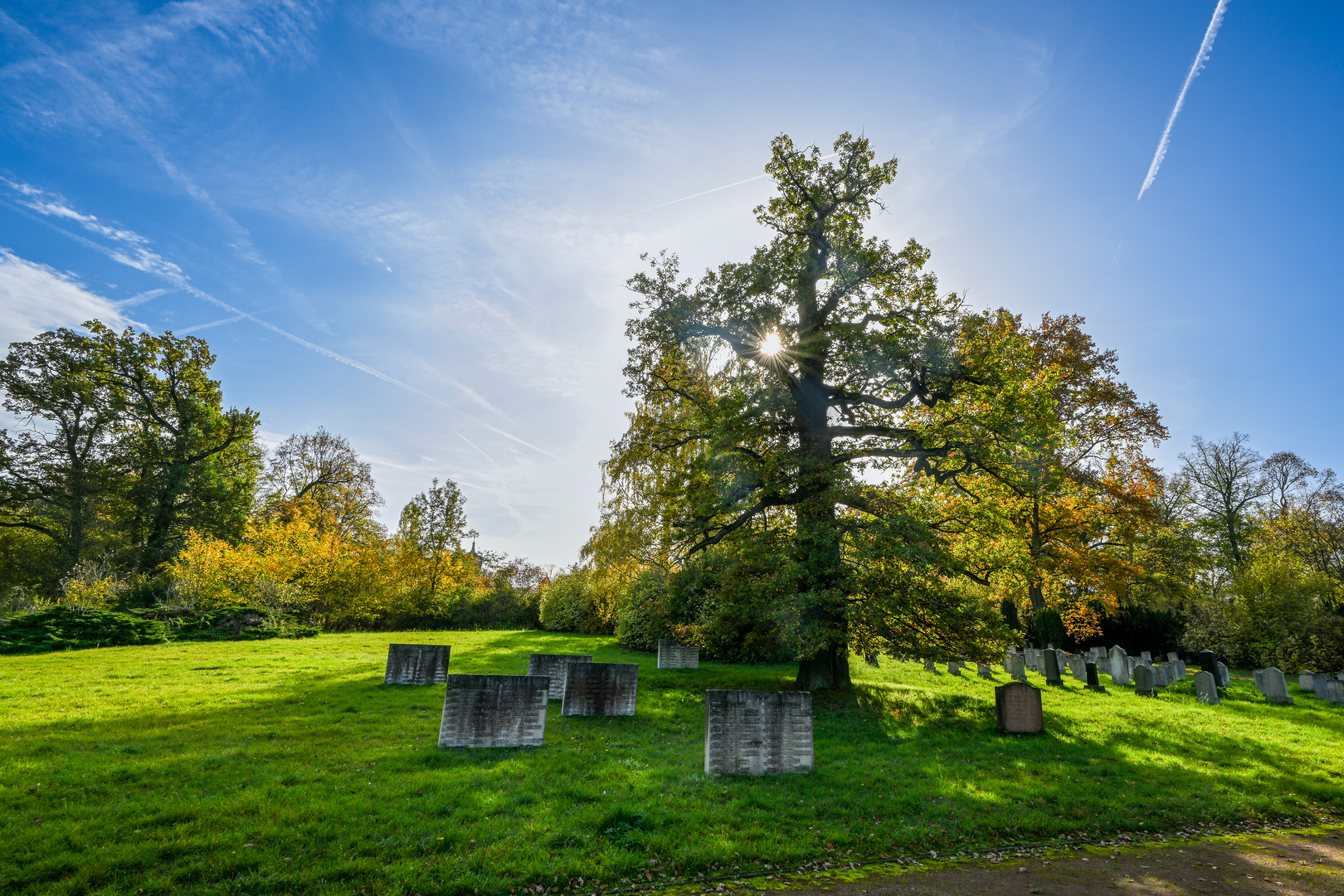 Sowjetischer Friedhof im Schlosspark Belvedere 11