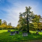 Sowjetischer Friedhof im Schlosspark Belvedere 11