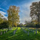 Sowjetischer Friedhof im Schlosspark Belvedere 13