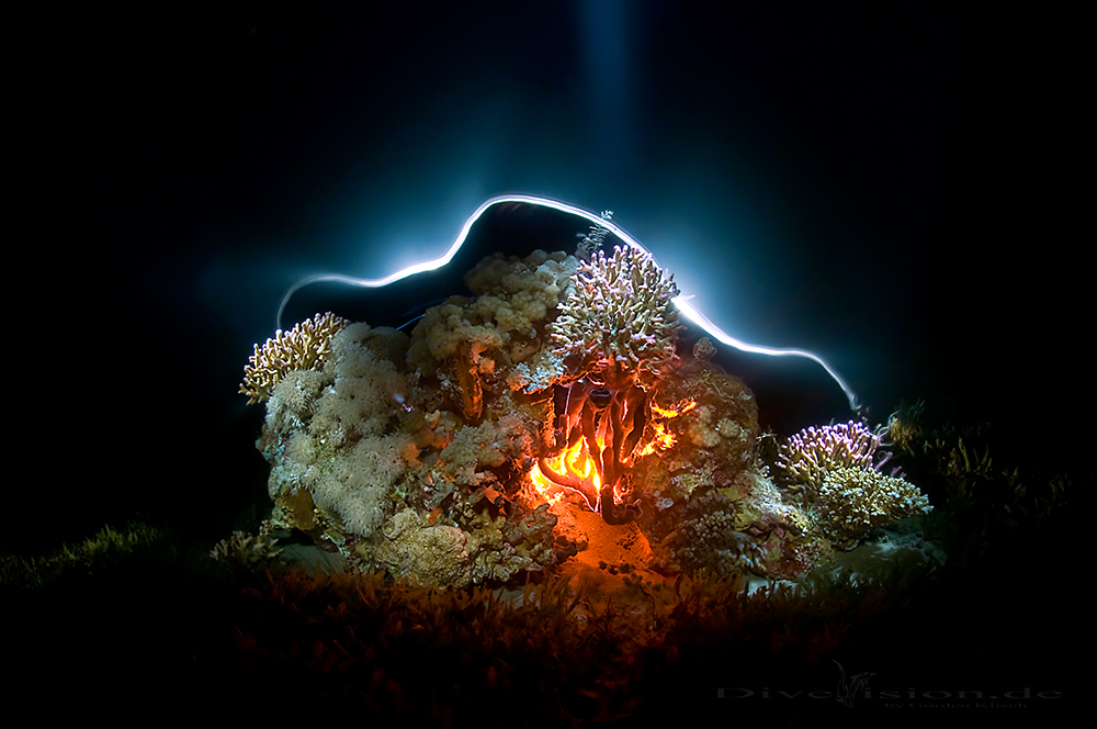 Coral Isle Hilfe Coral Isle Hilfe